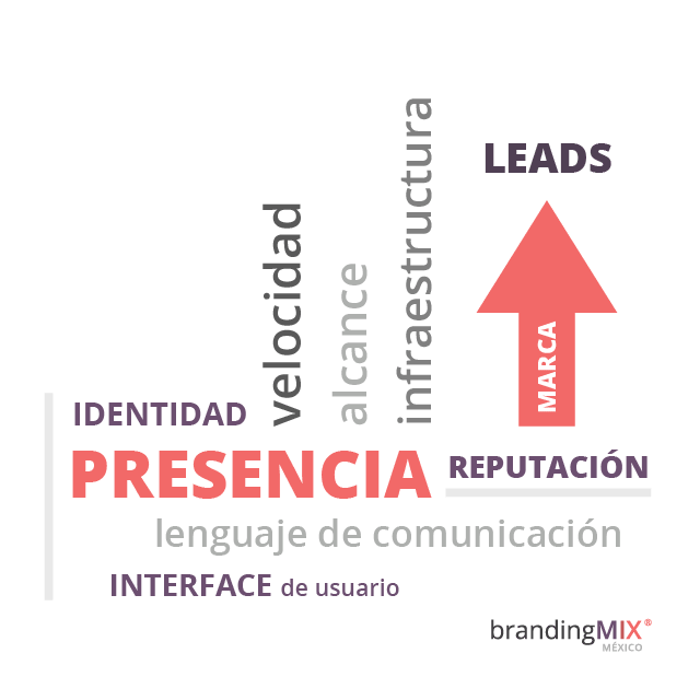 Las bases de una estrategia de marketing digital.